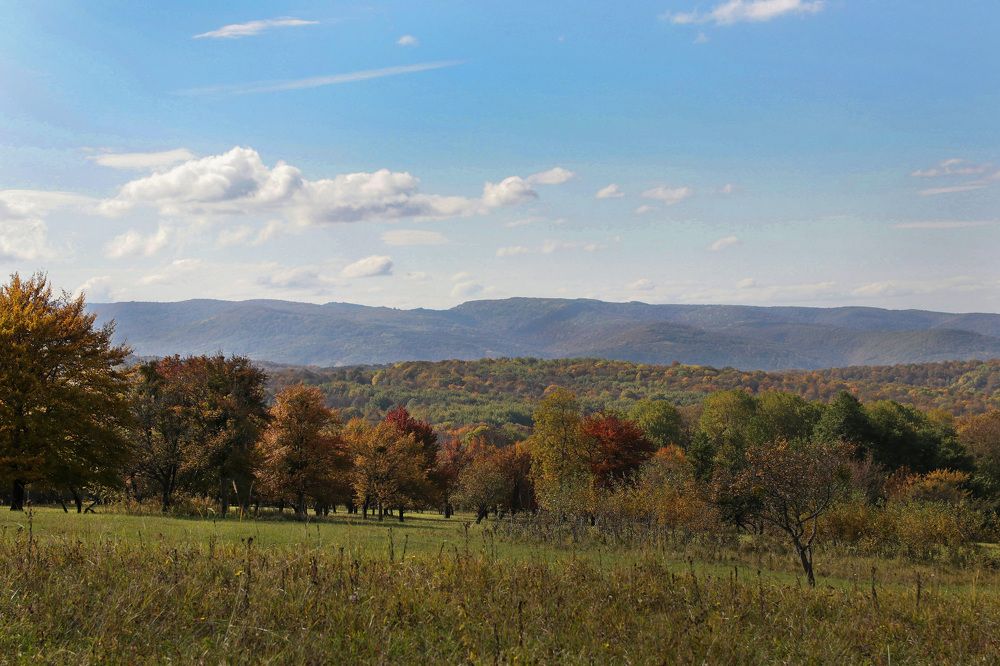Photograph by Виктория Бережок