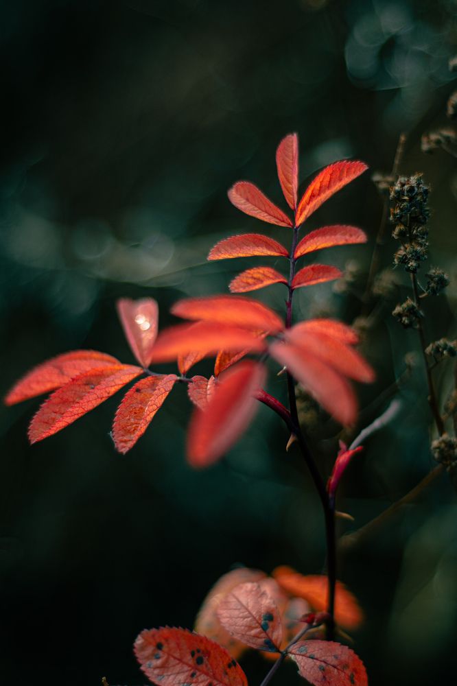 Photograph by Сергей Долгий