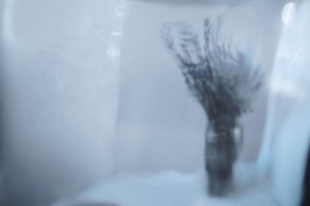 Photograph by Ирина Стоянкова