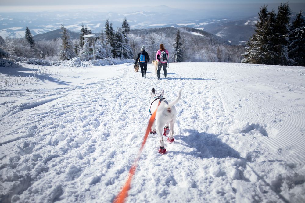 Photograph by Monika Kučerová