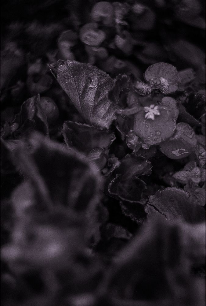 Photograph by Михаил Усов