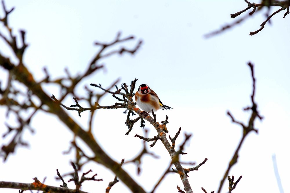 Photograph by Сергей Долгий