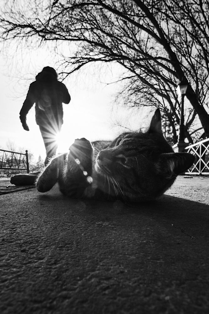 Photograph by Okan YILMAZ