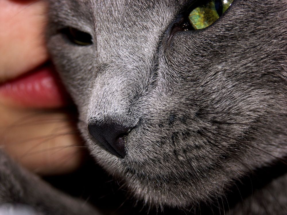 Photograph by Сергей Харитон