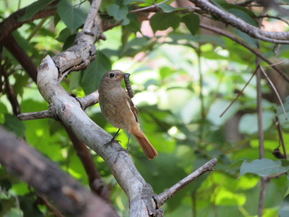 Photograph by Ольга Панкова