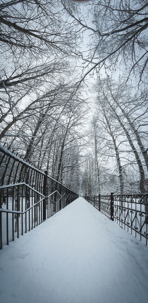 Photograph by Анна Дорофеева