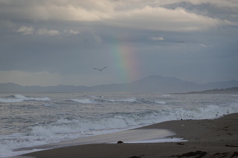Photograph by Елена Гольдмахер