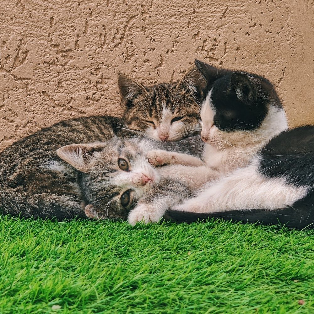 Photograph by Николай Стрельников