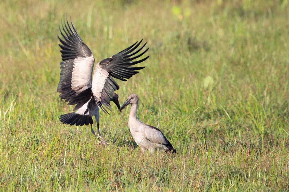 Photograph by Sudara Sansali De Silva