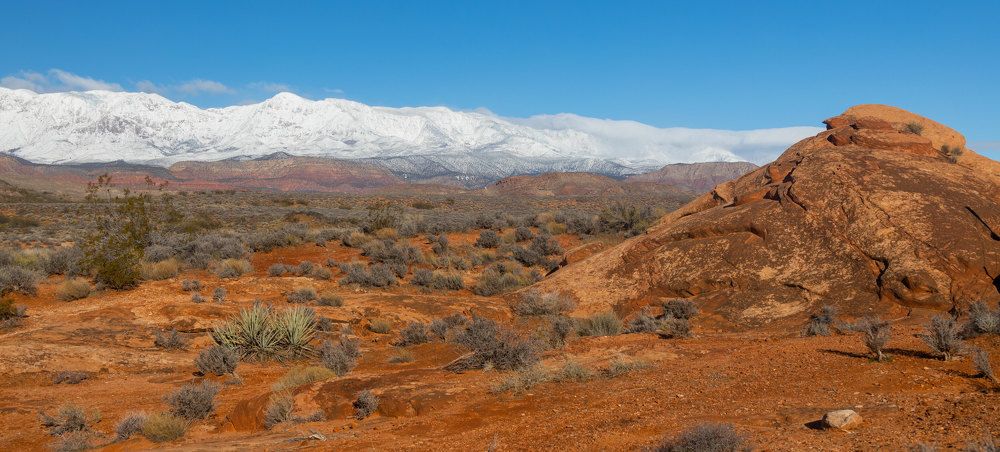 Photograph by Olga Serebryannaya