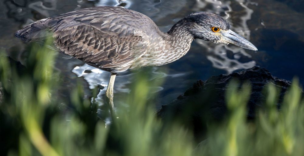 Photograph by Olga Serebryannaya