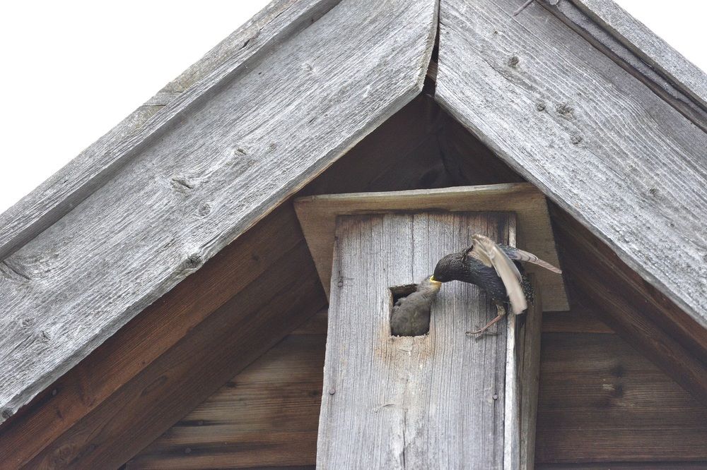 Photograph by Alfia  Bikmuhametova