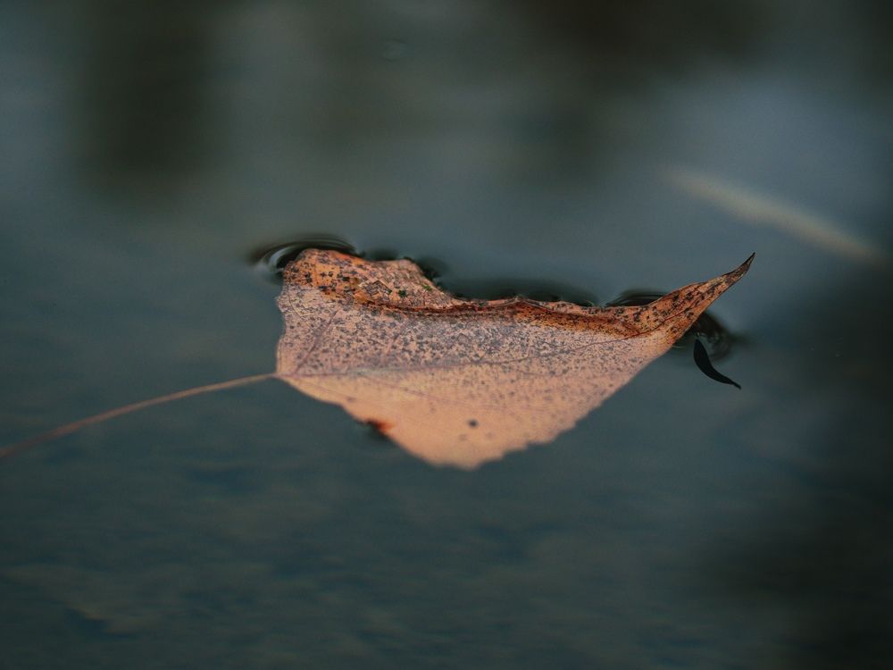 Photograph by Николай Стрельников