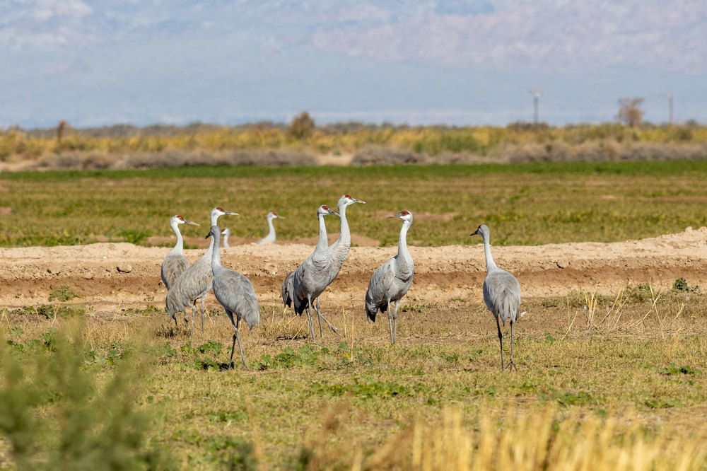 Photograph by Olga Serebryannaya