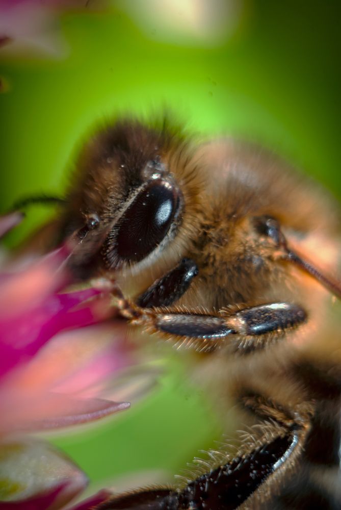 Photograph by Андрей Михайлов