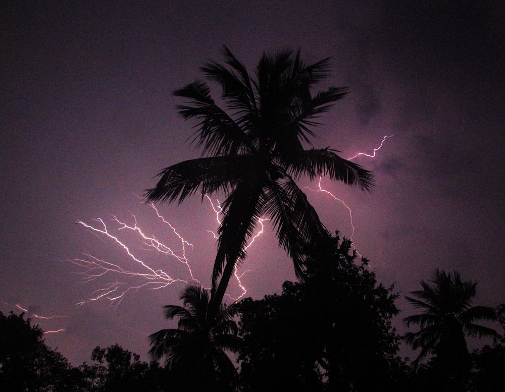 Photograph by Kapilesh Gujarathi