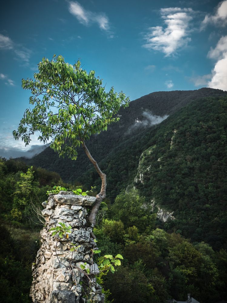 Photograph by Александр Устинов