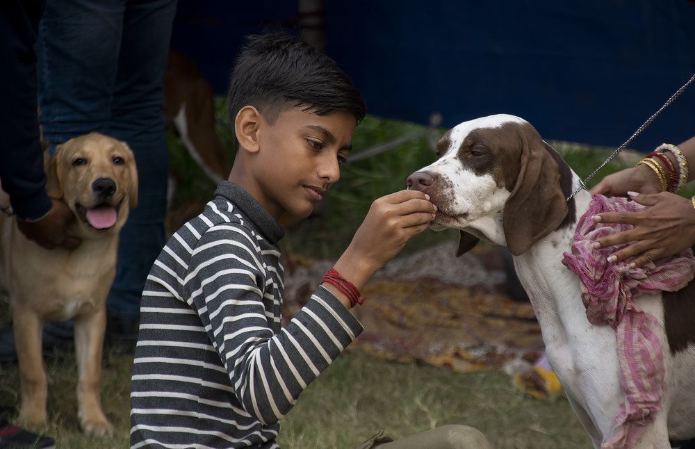 Фотография автора SANTANU BOSE