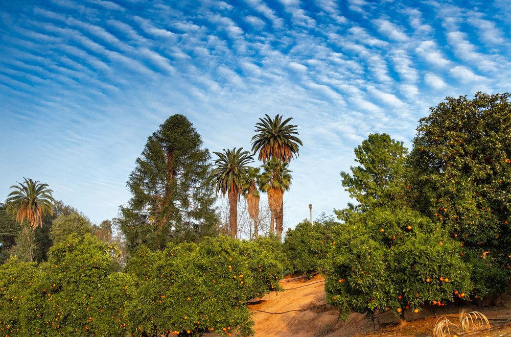 Photograph by Olga Serebryannaya