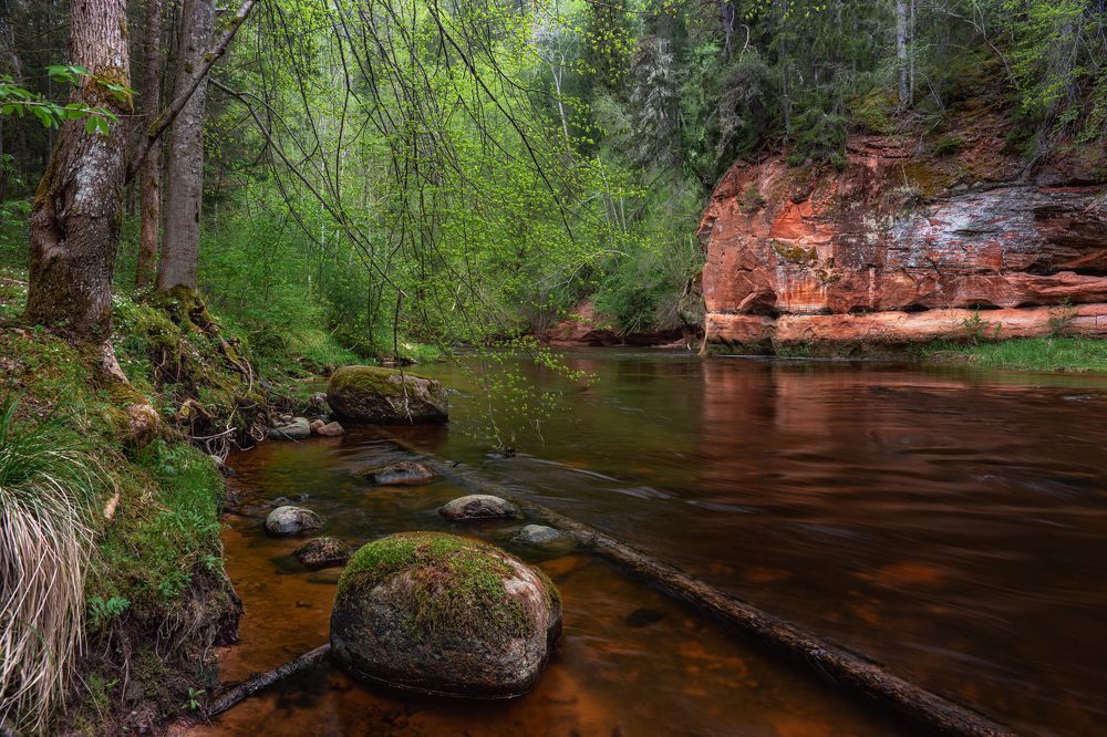 Photograph by Dace Spalviņa