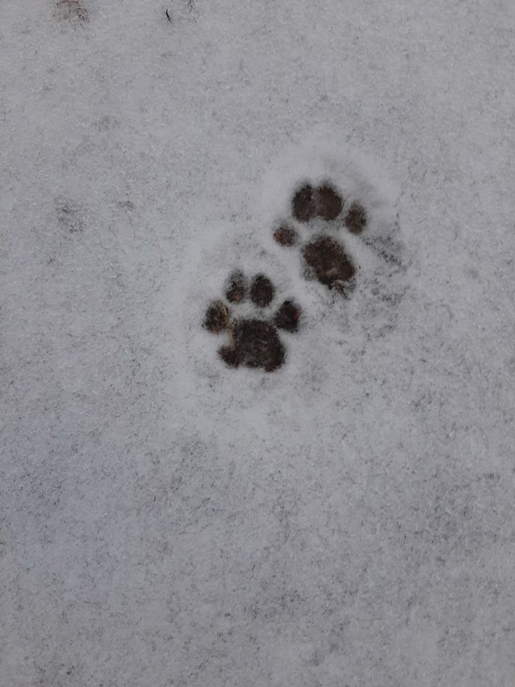 Photograph by Оксана Давыдова