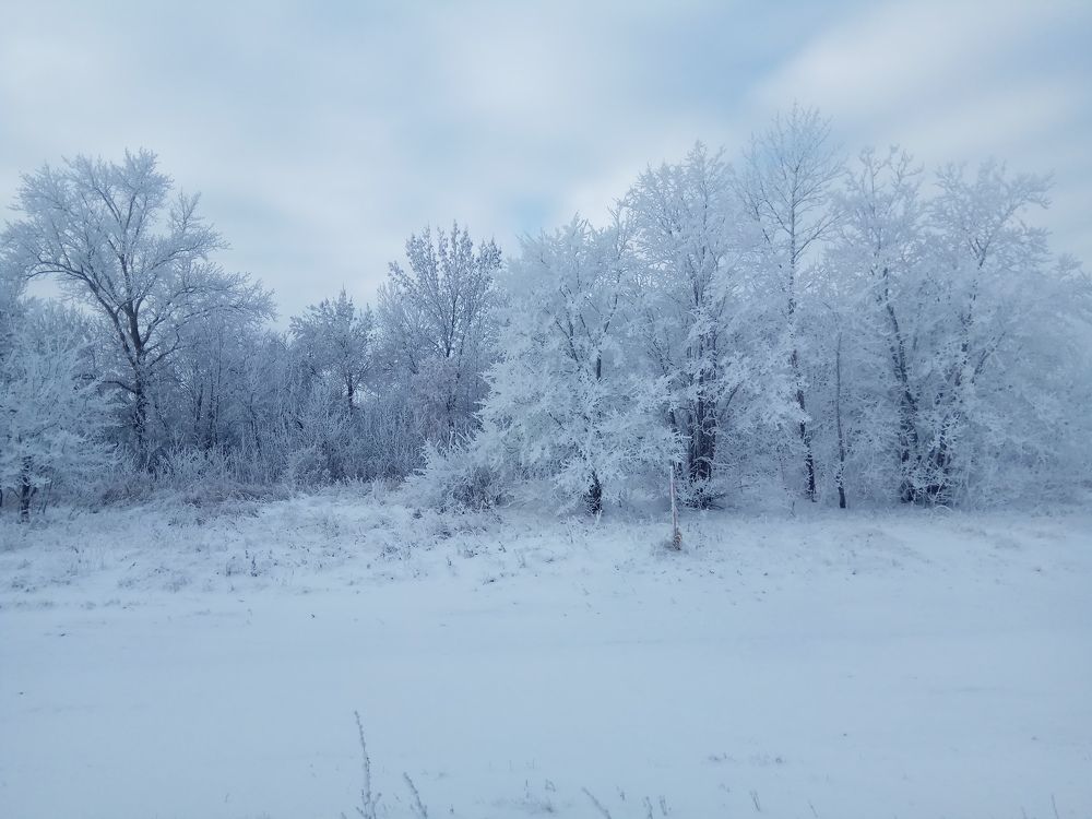 Photograph by Алексей Ларин