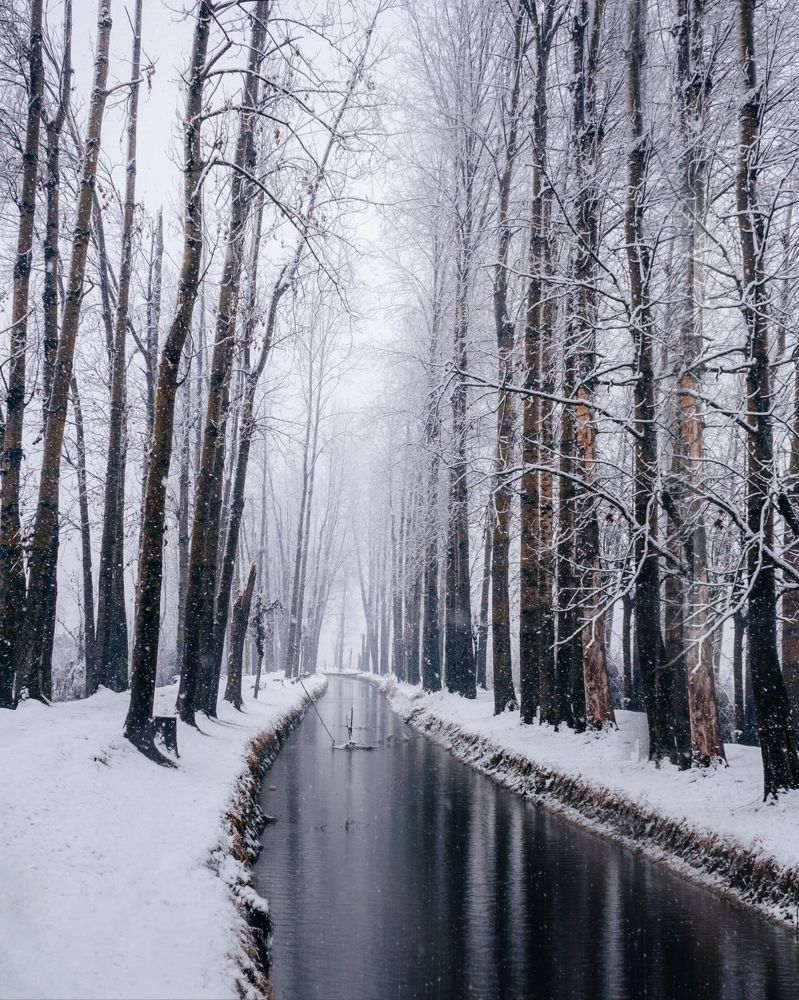 Photograph by Bhatt Muxamil