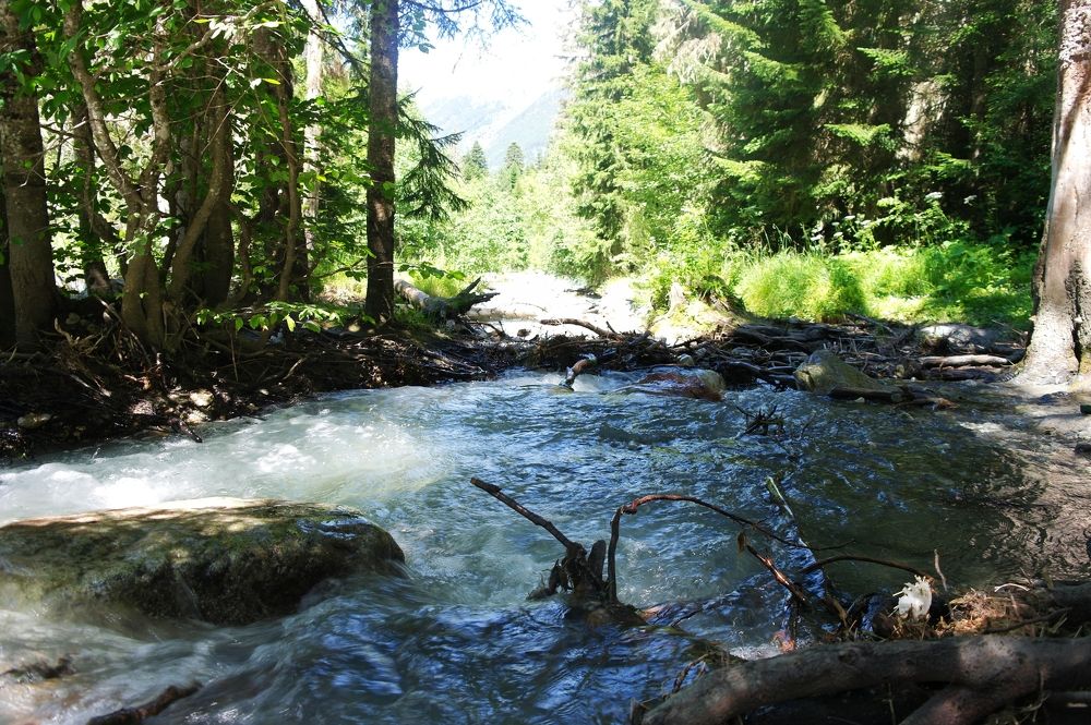 Photograph by Ирина Дронова