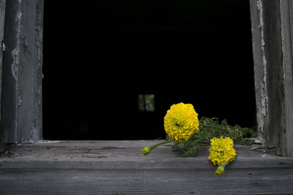 Photograph by Елена Королева