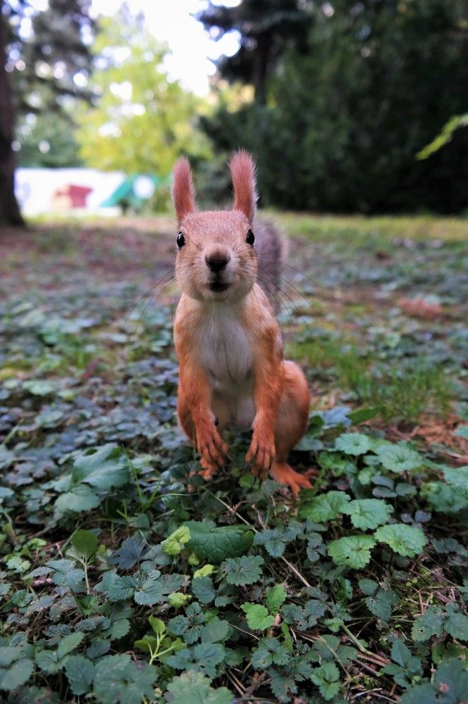 Photograph by Ольга Сергиенко