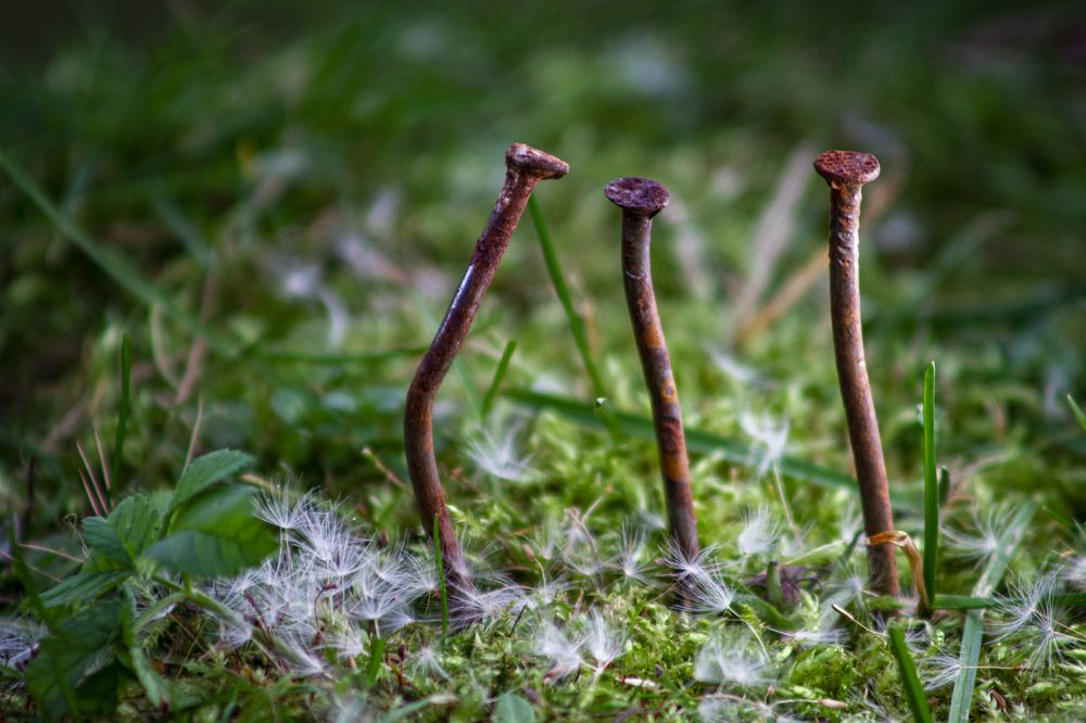 Photograph by Андрей Тарасюк