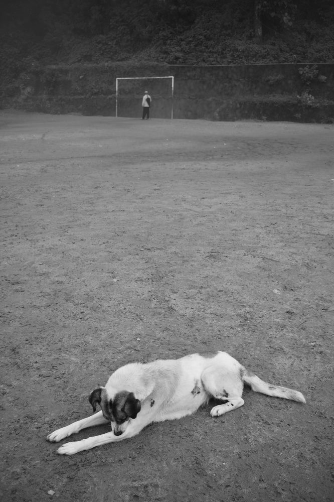 Photograph by Suraj Thami