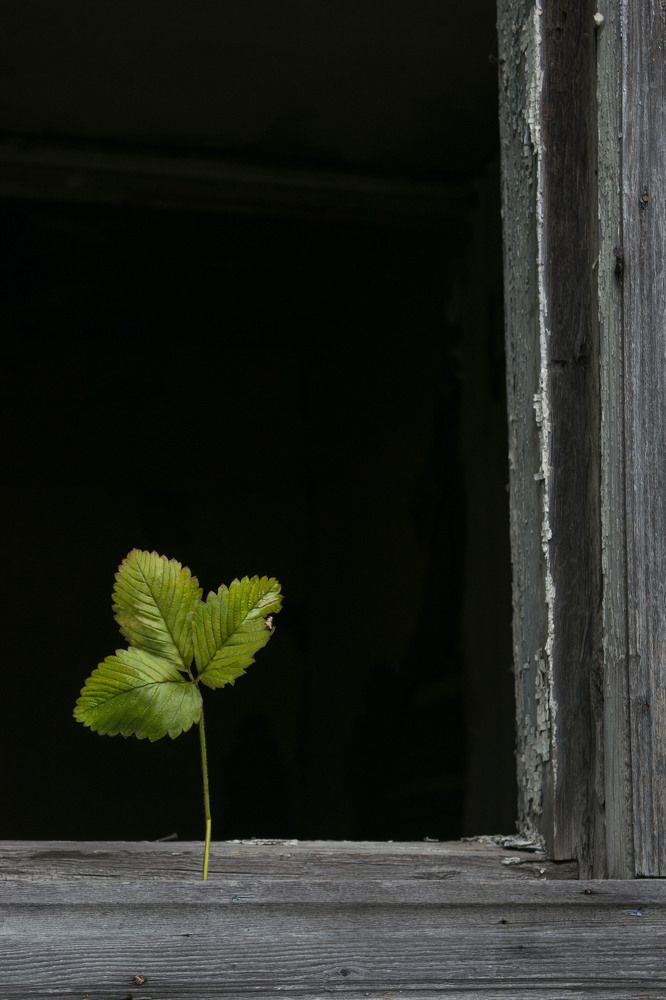 Photograph by Елена Королева