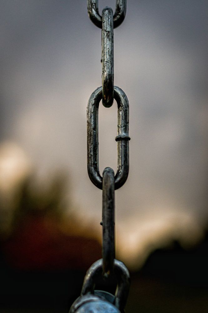 Photograph by Александр Быдрицкий