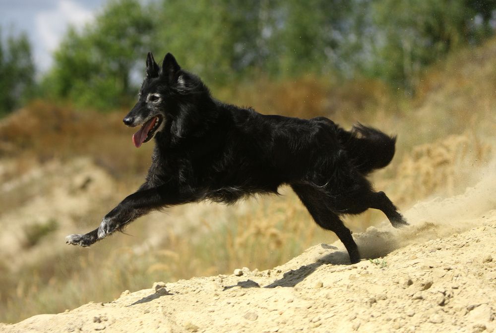 Фотография автора Надежда Лисицына