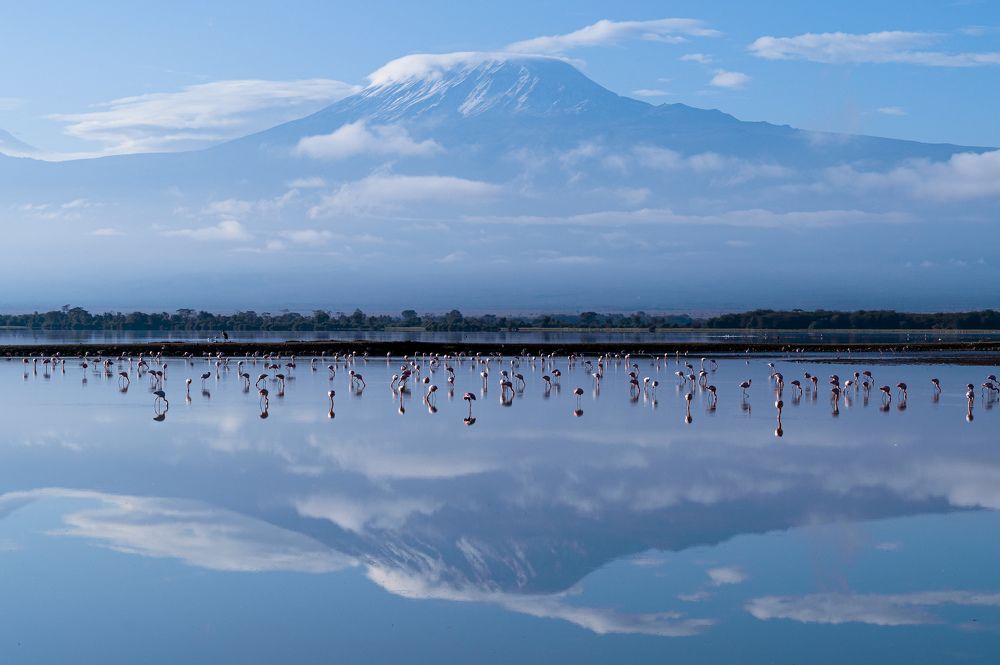 Photograph by solomon rajkumar rajasekaran
