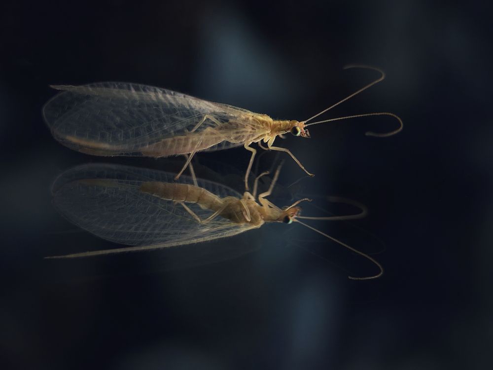 Photograph by Юлия Отставнова