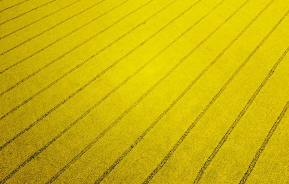 Photograph by Павел Минкевич