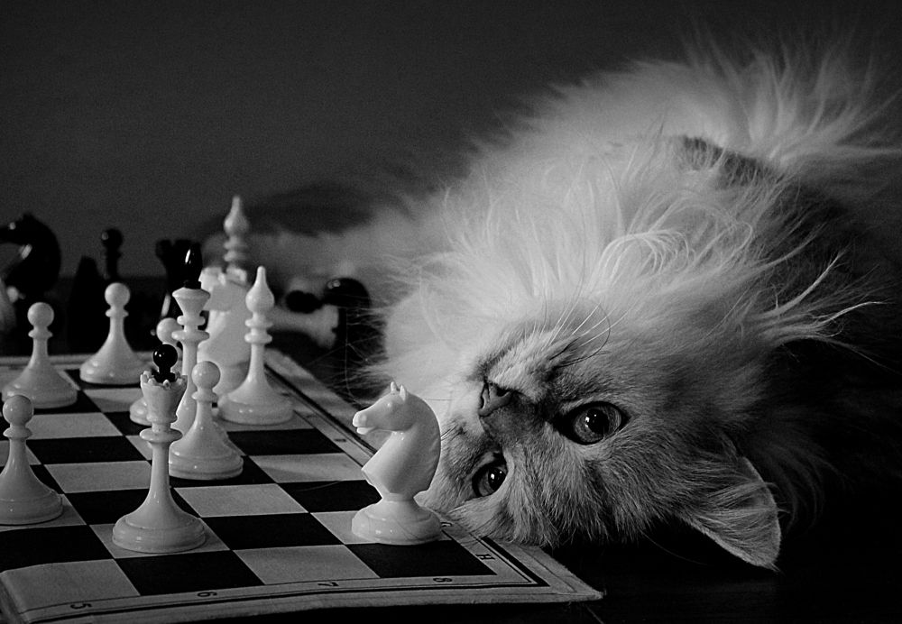 Photograph by Зоя Быкова