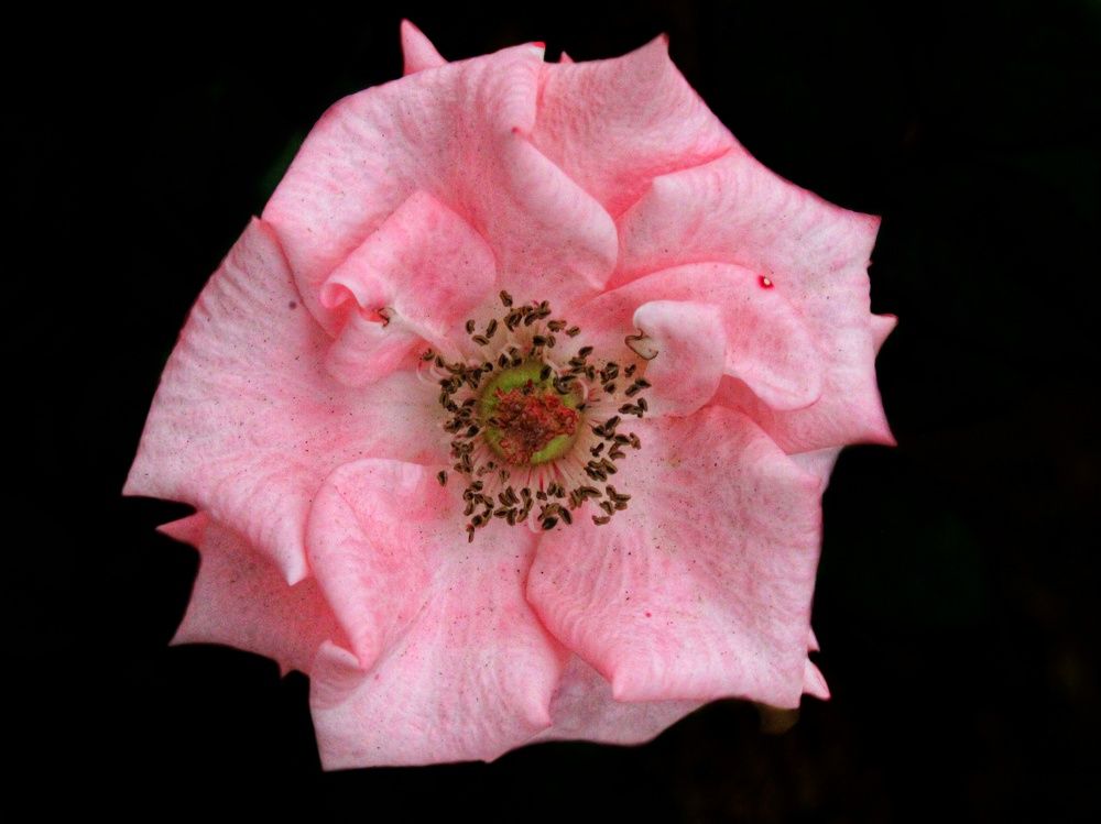 Photograph by Mada Putri Angeline