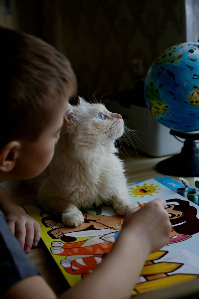 Photograph by Мария Ткаченко