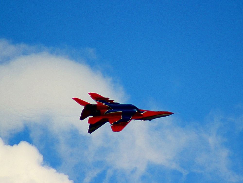 Потрясающие Стрижи