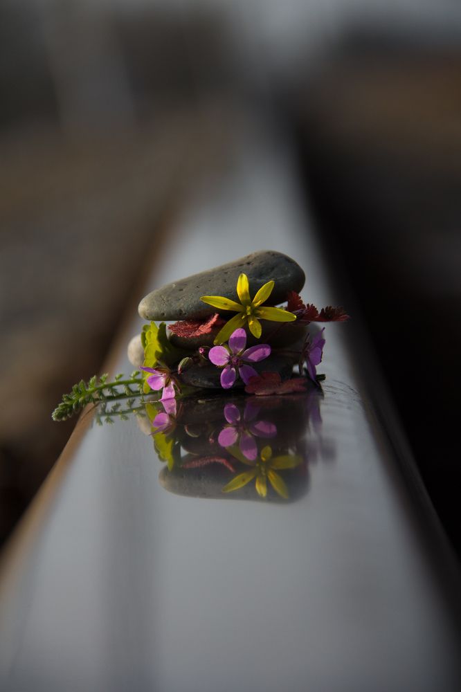 Photograph by Beterhanov SaifuddiN