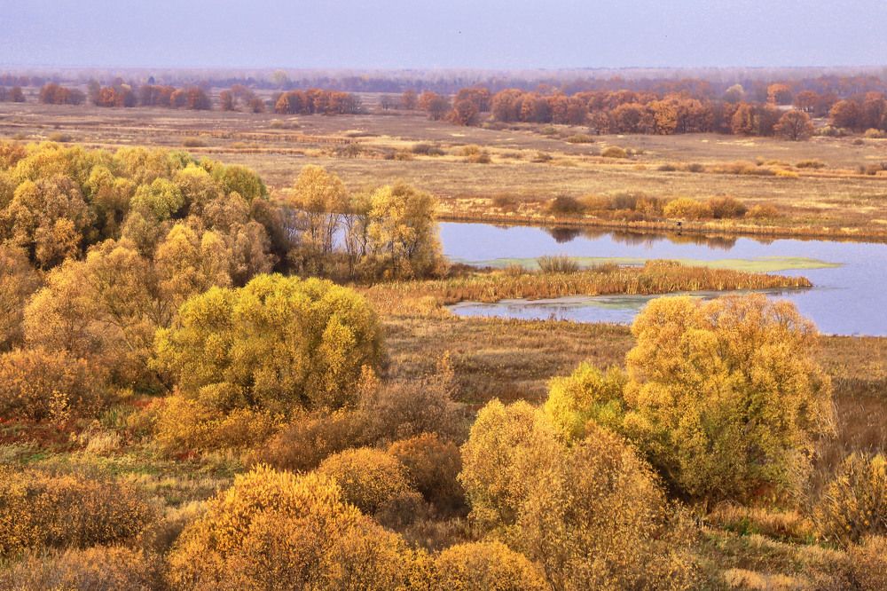 Photograph by Моложников Юрий