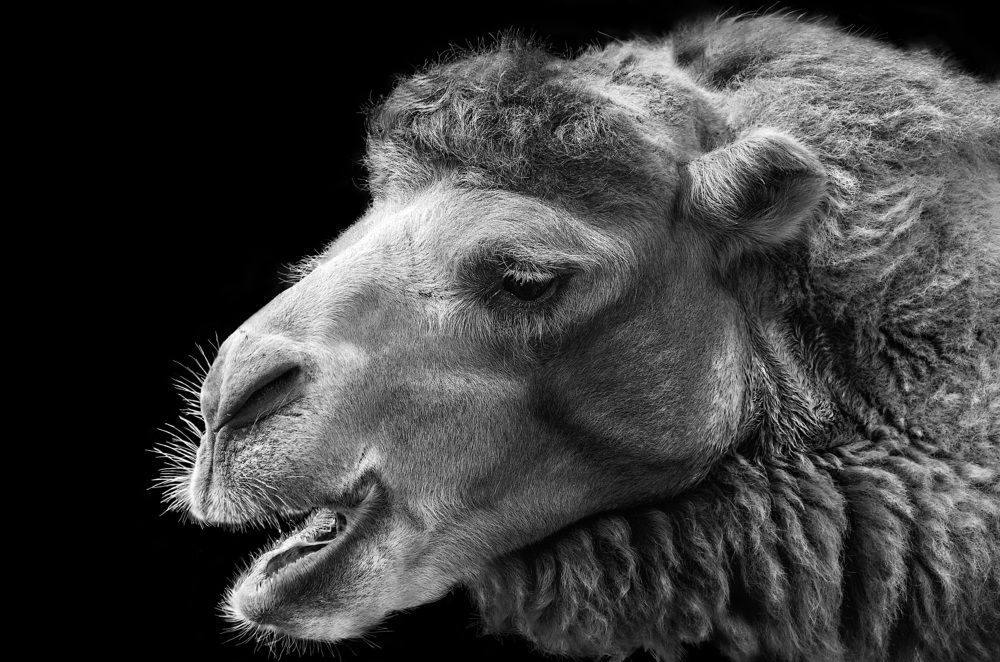 Photograph by Валерий Вторыгин