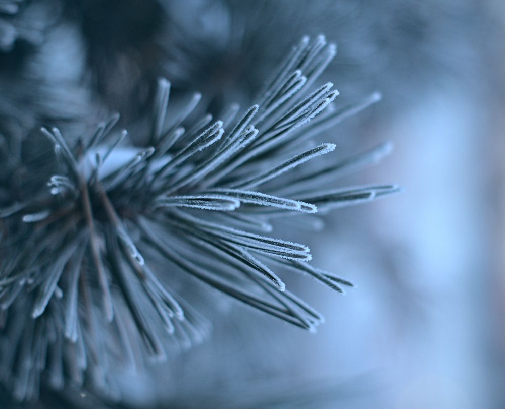 Photograph by Олег Каракин