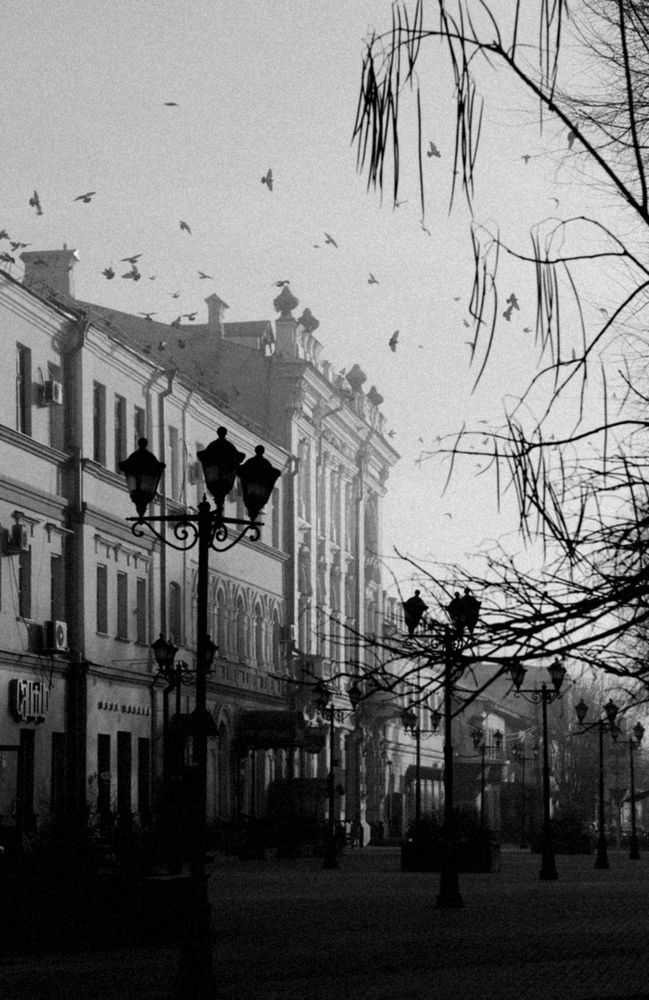 Photograph by Диана Арье