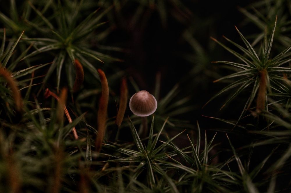 Photograph by Иван Гаврелюк