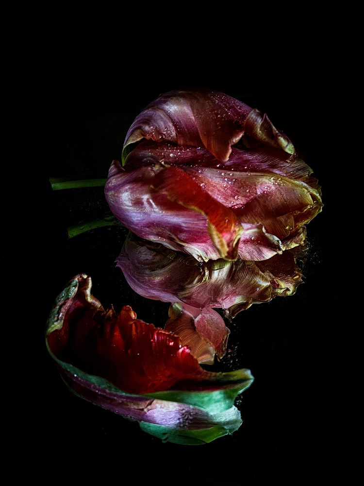 Снято на iPhone