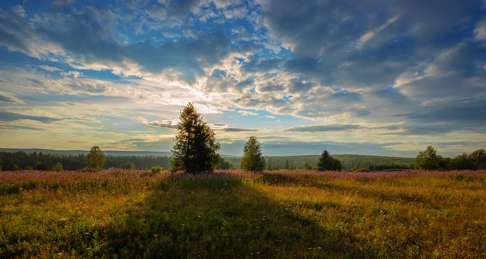 Photograph by Николай Ларионов